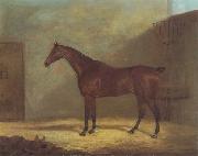 John Boultbee A Chestnut Hunter With A Groom By a Building Germany oil painting artist